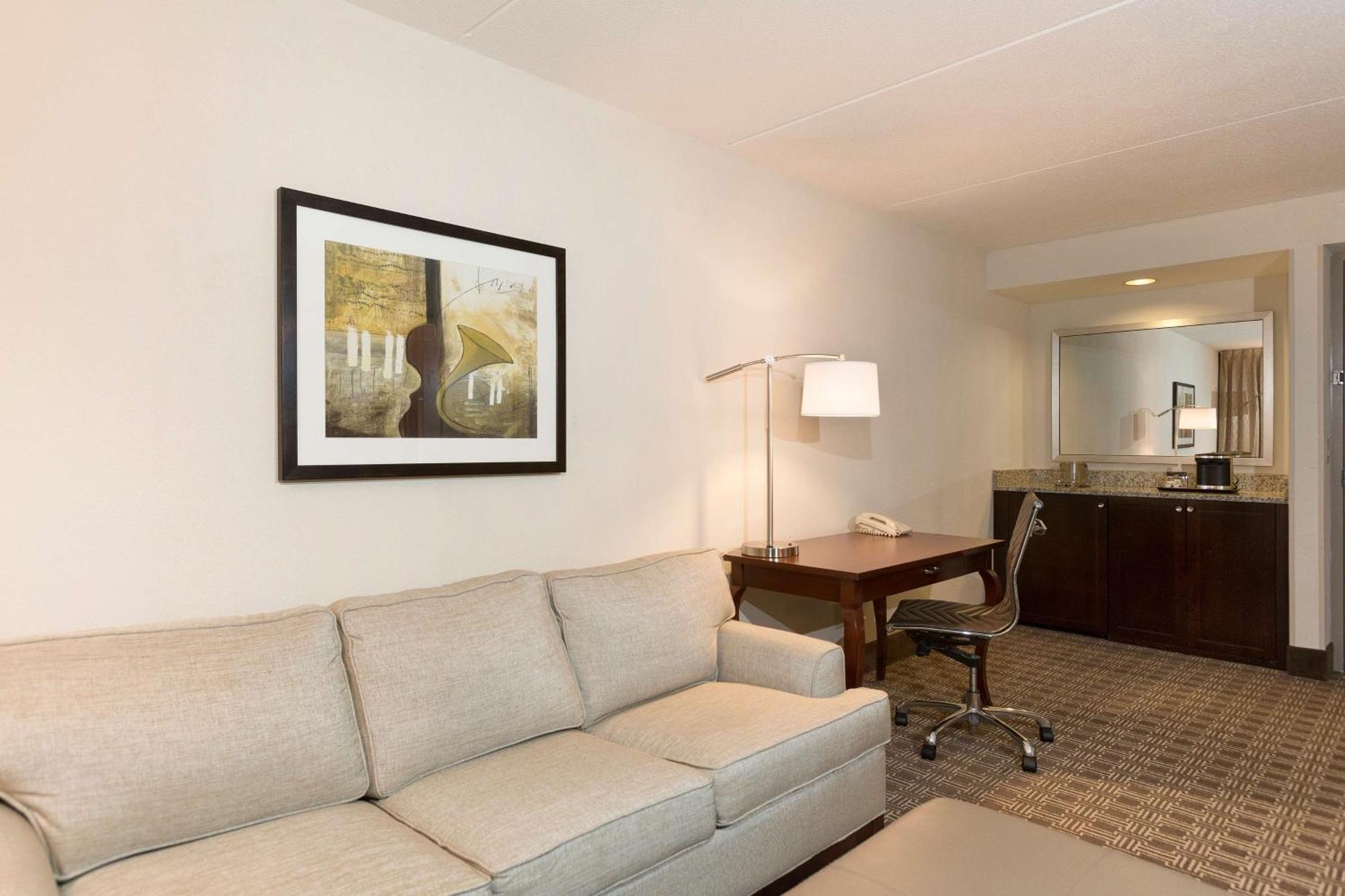 Deluxe King Suite